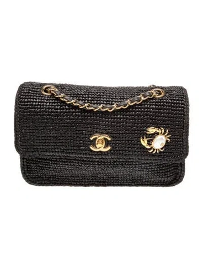 Pre-owned Chanel 2026 Raffia Coco Beach Flap Bag In Black