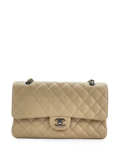 Pre-owned Chanel 25 Classic Flap Shoulder Bag In Neutral