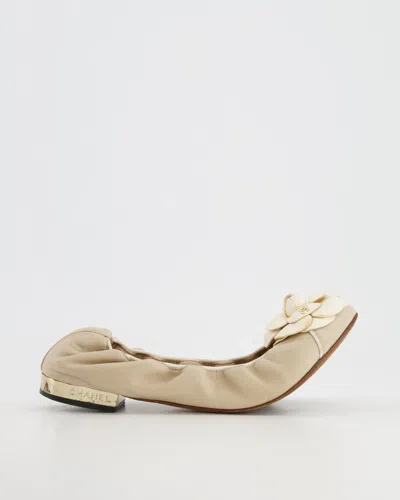 Pre-owned Chanel Andleather Camélia Elasticated Ballerina With Gold Cc Logo Detail In Beige