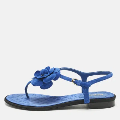 Pre-owned Chanel Blue Suede Camellia Thong Sandals Size 39