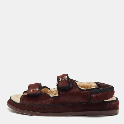 Pre-owned Chanel Burgundy/black Calfhair Cc Dad Flat Sandals Size 38