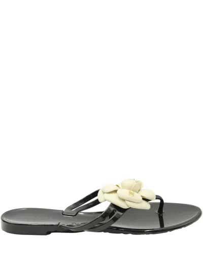 Pre-owned Chanel Camellia-detail Flip Flops In Black