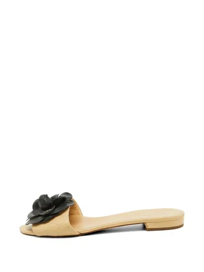 Pre-owned Chanel Camellia Flat Sandals In Neutral
