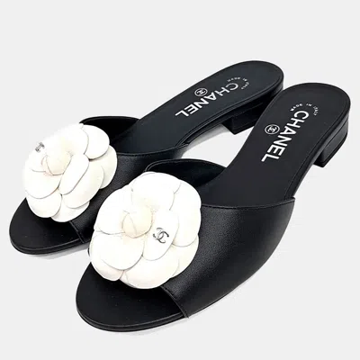 Pre-owned Chanel Camellia Mule Leather Sandals In Black