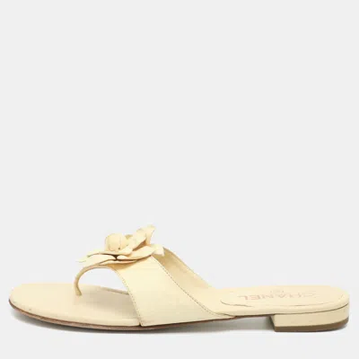 Pre-owned Chanel Cc Camelia Size 38.5 Cream Leather Thong Flats In White