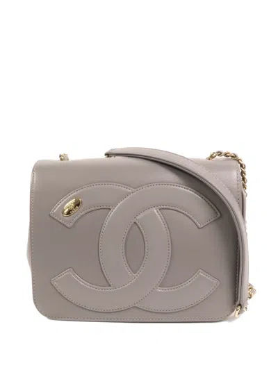 Pre-owned Chanel Cc Mania Flap Cross Body Bag In Gray
