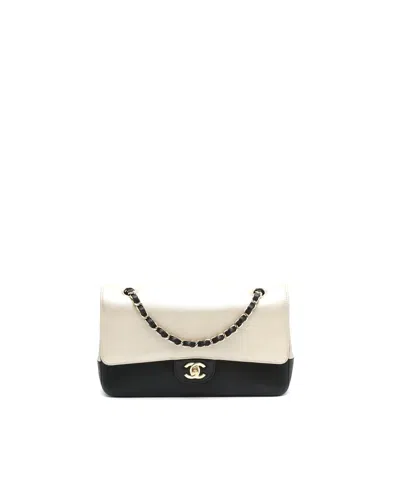 Pre-owned Chanel Classic Medium Double Flap Bag In Multi
