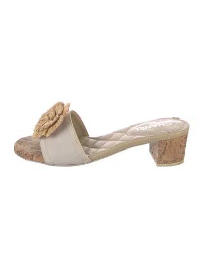 Pre-owned Chanel Interlocking Cc Logo Leather Mules In Neutral