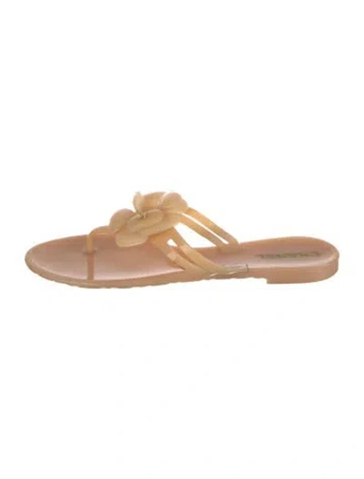 Pre-owned Chanel Interlocking Cc Logo Rubber Flip Flops In Neutrals