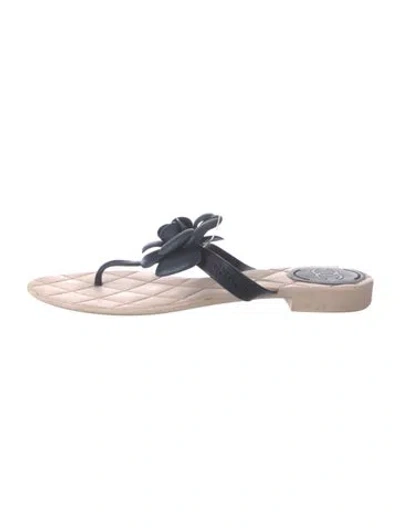 Pre-owned Chanel Interlocking Cc Logo Rubber Flip Flops In Pink
