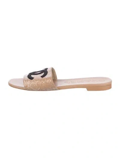 Pre-owned Chanel Interlocking Cc Logo Sequins Slides In Neutral