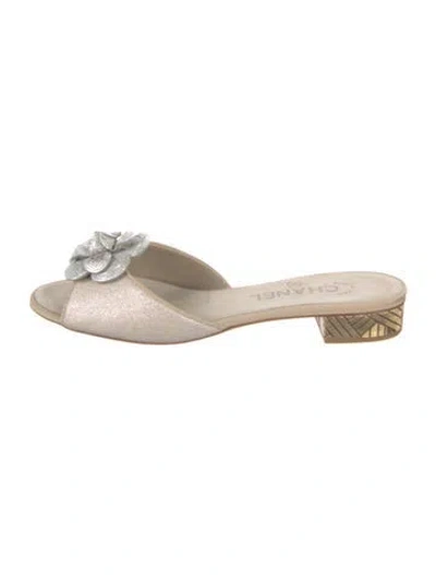 Pre-owned Chanel Interlocking Cc Logo Slides In Neutral