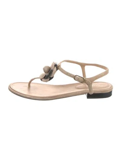 Pre-owned Chanel Interlocking Cc Logo Suede Sandals In Neutral