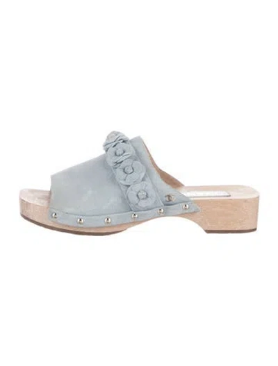 Pre-owned Chanel Interlocking Cc Logo Suede Slides In Blue