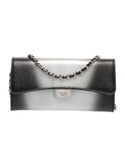 Pre-owned Chanel Iridescent Ombre Lizard Wallet On Chain In Multi