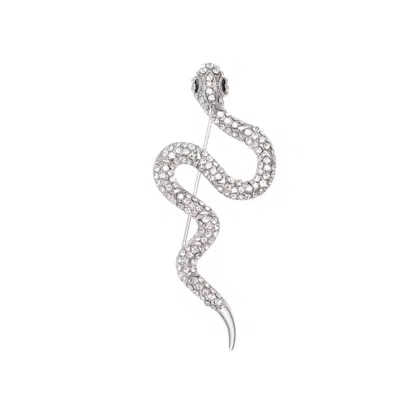 Chanel Joan Elkayam Women's Silver Crystal Snake Brooch