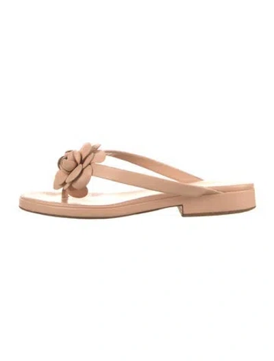 Pre-owned Chanel Late 1990's - Early 2000's Camellia Accent Flip Flops In Neutrals