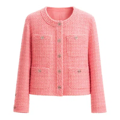 Pre-owned Chanel New Spring 2020 Iconic Pink Tweed Jacket 36 Fr