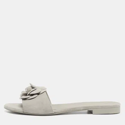 Pre-owned Chanel Size 42 Light Grey Suede Cc Camellia Flat Slide Sandals In Gray