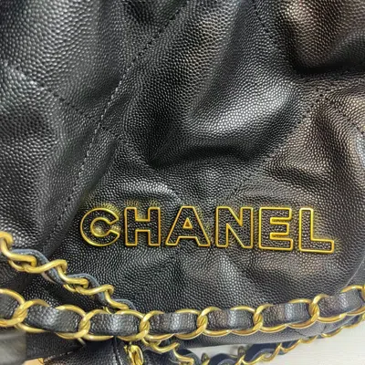 Pre-owned Chanel Women Pre-loved Bag Brand New Condition In Multi