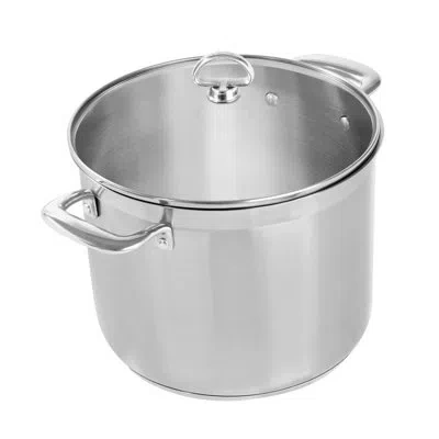 Chantal 12 Qt. Stainless Steel Stock Pot With Lid In Silver