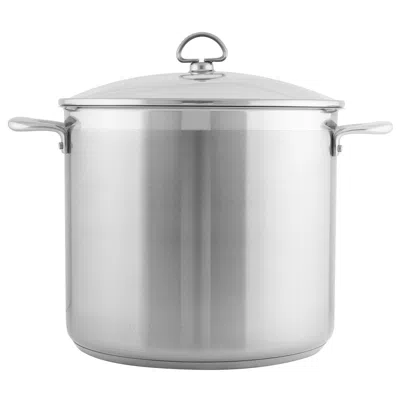 Chantal Induction 21 Steel 12 Qt. Stock Pot W/ Glass Lid In Gray
