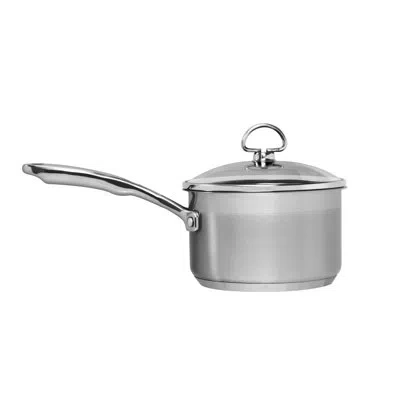 Chantal Induction 21 Steel® Saucepan With Lid In Silver
