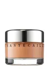 Chantecaille -future Skin Foundation In Hazel