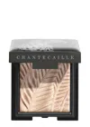 Chantecaille -luminescent Eye Shades In Cheetah
