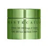Chantecaille Cbd 300 Face And Body Cream, 1.7 Oz.
