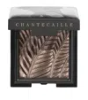 Chantecaille Elephant Luminous Eye Shade In Grey