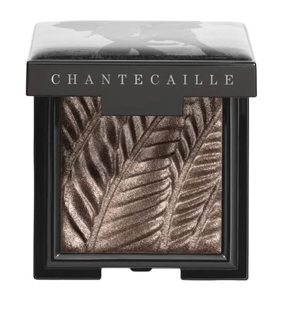 Chantecaille Elephant Luminous Eye Shade In Grey
