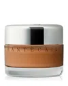 Chantecaille Future Skin Foundation In Brown