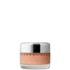 Chantecaille Future Skin Oil-free Foundation 1 Oz. - Maple