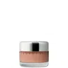 Chantecaille Future Skin Oil-free Foundation 1 Oz.