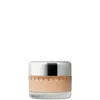 Chantecaille Future Skin Oil-free Foundation 1 Oz.