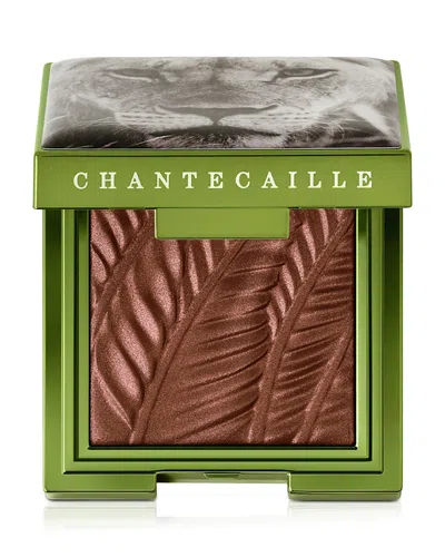 Chantecaille Limited Edition Luminescent Eye Shade In Brown