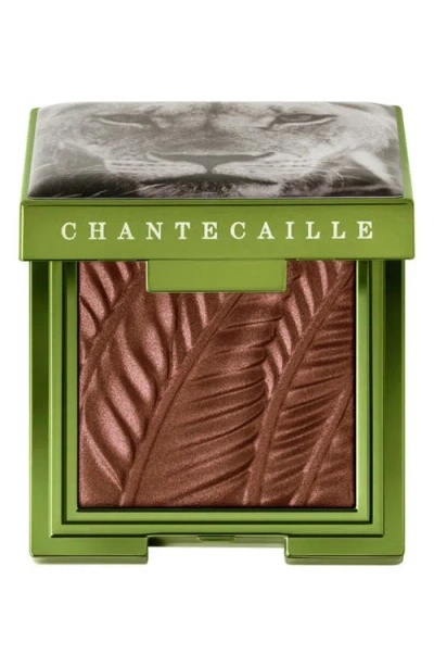 Chantecaille Luminescent Eye Shade In Martii