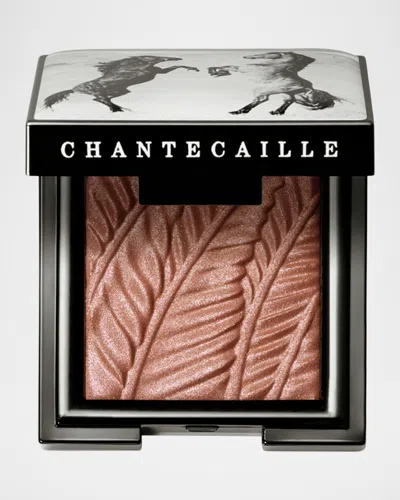 Chantecaille Luminescent Eye Shade In Brown