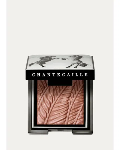 Chantecaille Luminescent Eye Shade In Brown