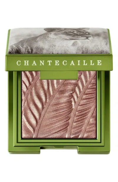 Chantecaille Luminescent Eye Shade In Selenkay