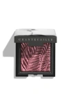 Chantecaille Luminescent Eye Shades In Gray