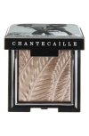 Chantecaille Luminescent Eyeshadow In Elephant