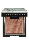 Chantecaille Luminescent Eyeshadow In Giraffe