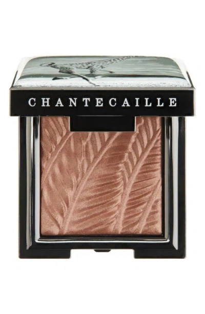 Chantecaille Luminescent Eyeshadow In Giraffe