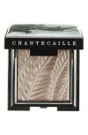 Chantecaille Luminescent Eyeshadow In Rhinoceros