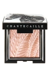 Chantecaille Luminescent Eyeshadow In Zebra