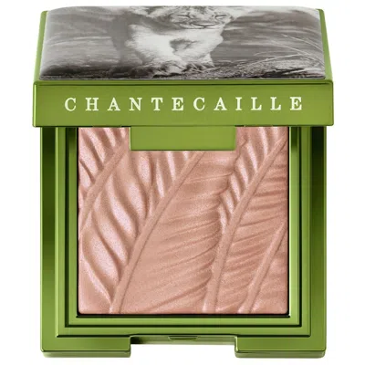 Chantecaille Matte Eye Shade
