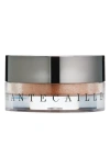 Chantecaille Mermaid Eyeshadow In Brown