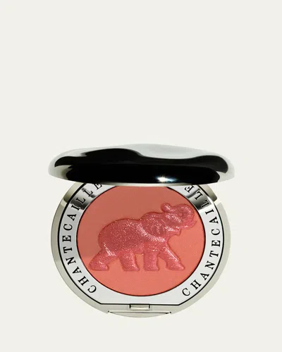 Chantecaille Philanthropy Cheek Shade In Gray